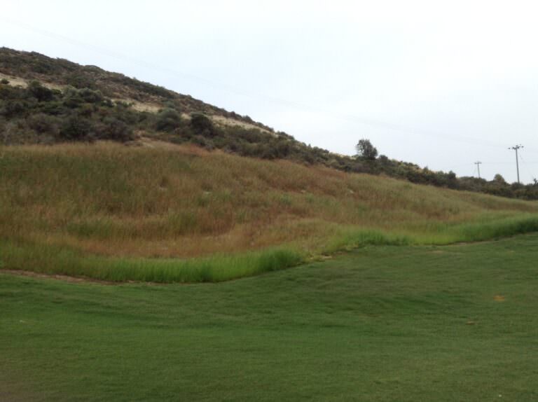 2nd rough grass