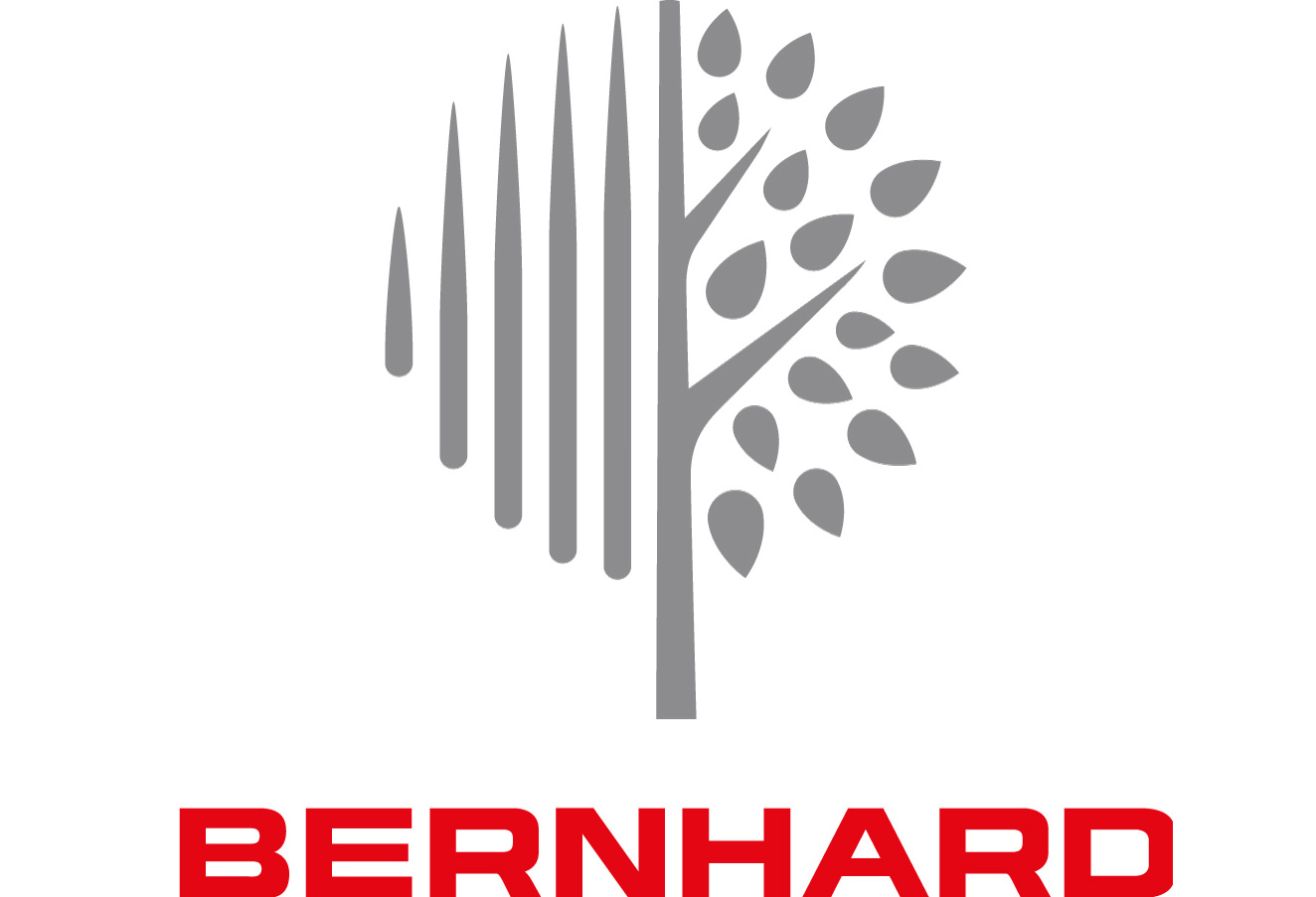 Bernhard Rothfos Logo Bernhard Joins EIGCA Partnership Programme - EIGCA
