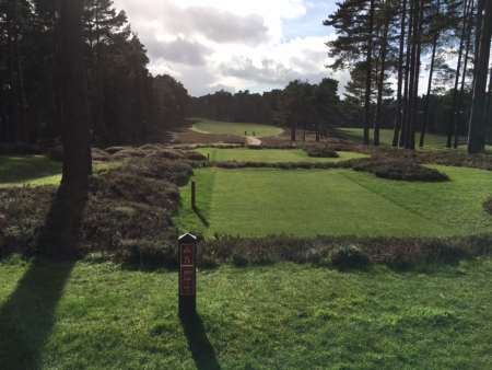 Works to include heather landscaping banks of tees.