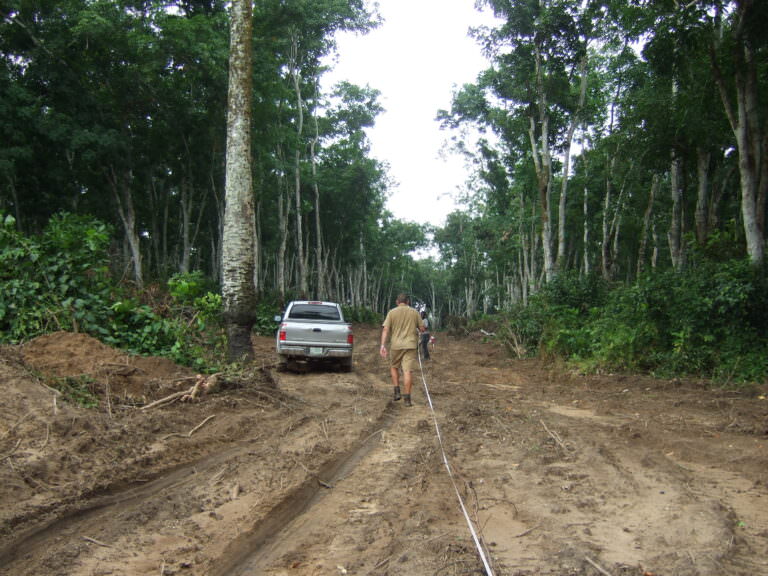 Careful tree clearing at Calabar