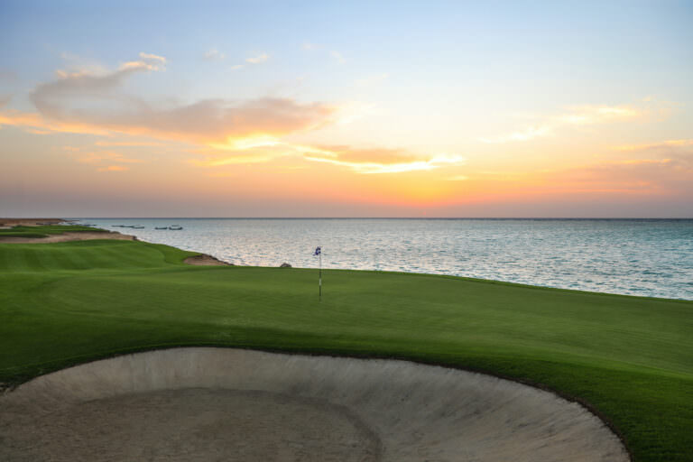Royal Greens Saudi Arabia, Copyright Kevin Murray