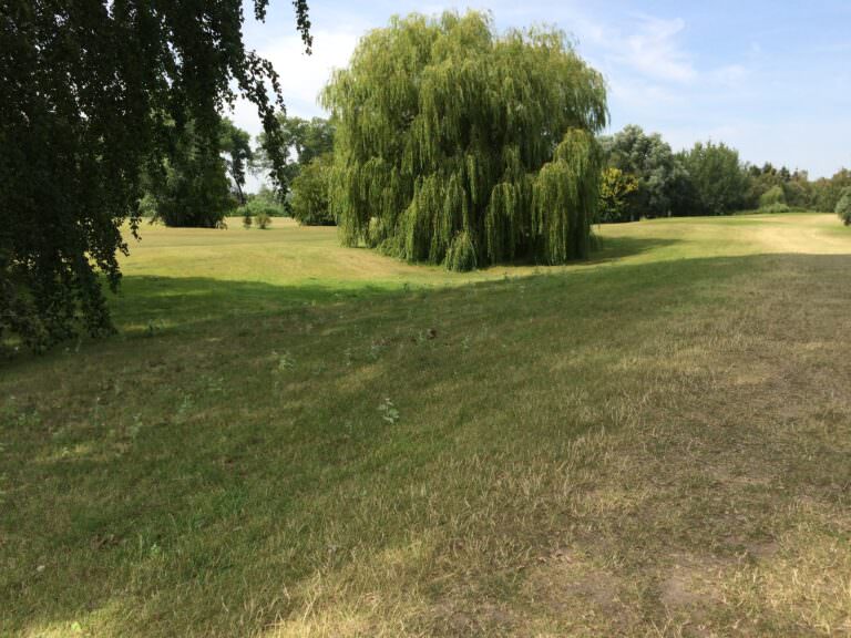 Swales for Heavy Rain retention and elevated Fairways and Greens (Pictures and plans by Rainer Preißmann; Red Golf; Jörn Kipping)