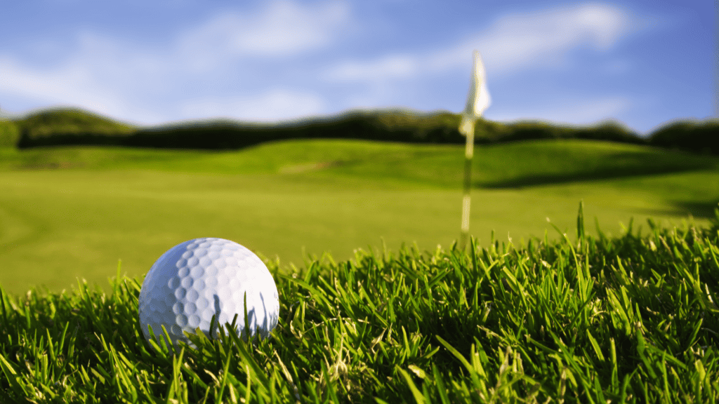 Golf ball in the foreground with a flag in a hole in the background.