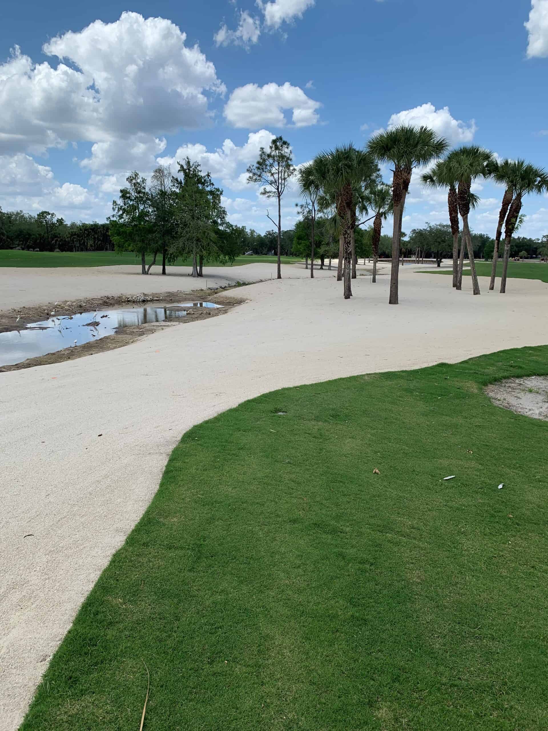 Bonita Bay