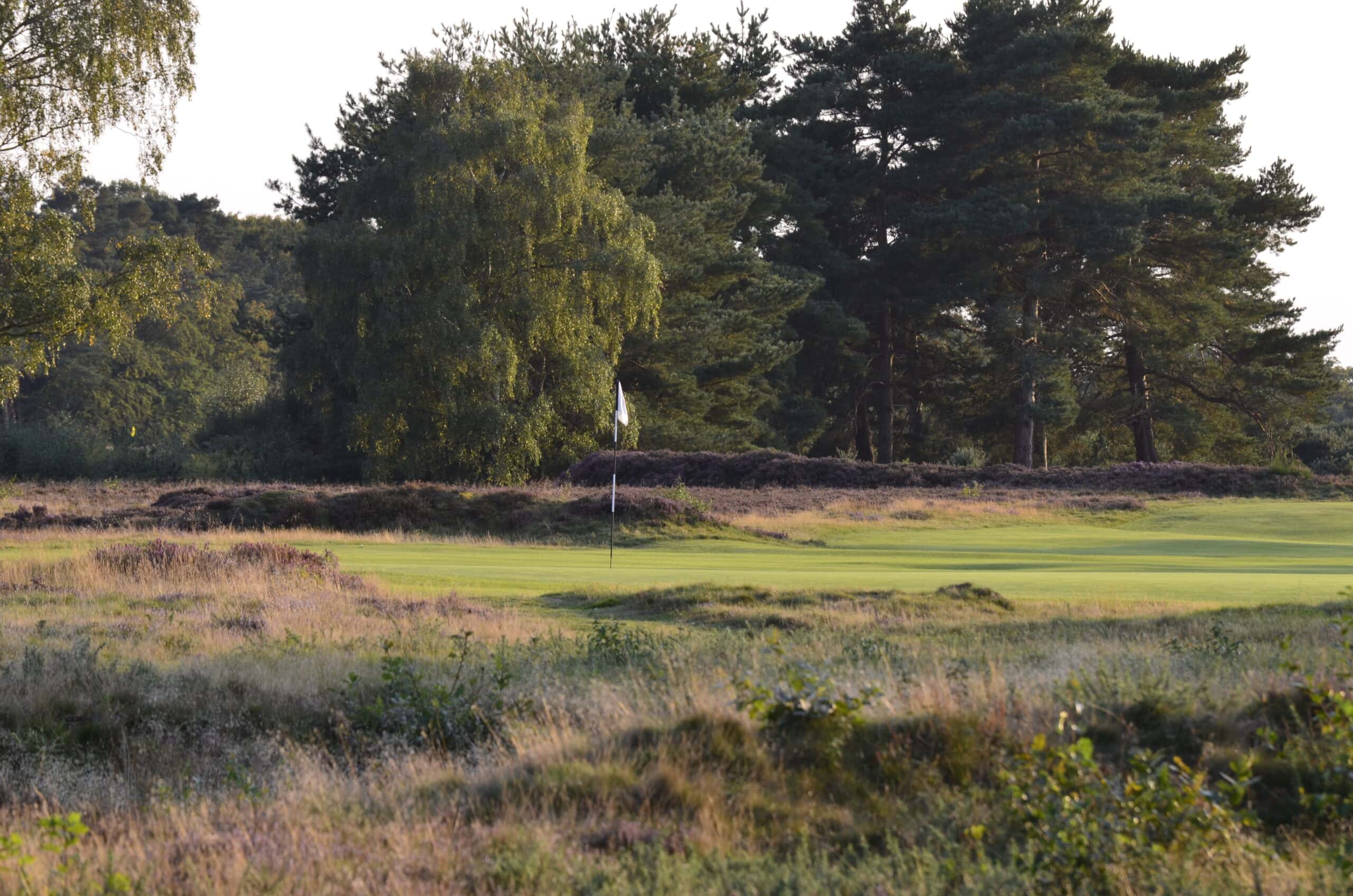 Woodhall Spa - Image courtesy of Turfgrass