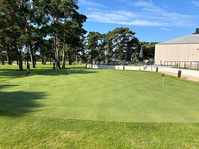 Kristianstad A - Image courtesy of Kneale Diamond, CapillaryFlow